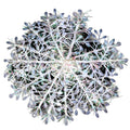30-Piece White Snowflake Ornament Set – 11cm